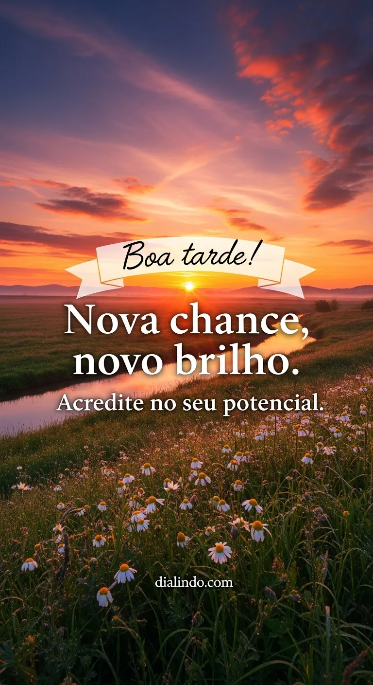 Brilho Renovado: Nova Chance