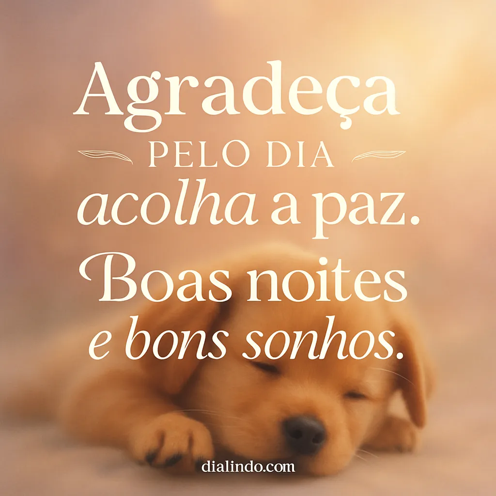 Gratidão, Paz, Sonhos Tranquilos