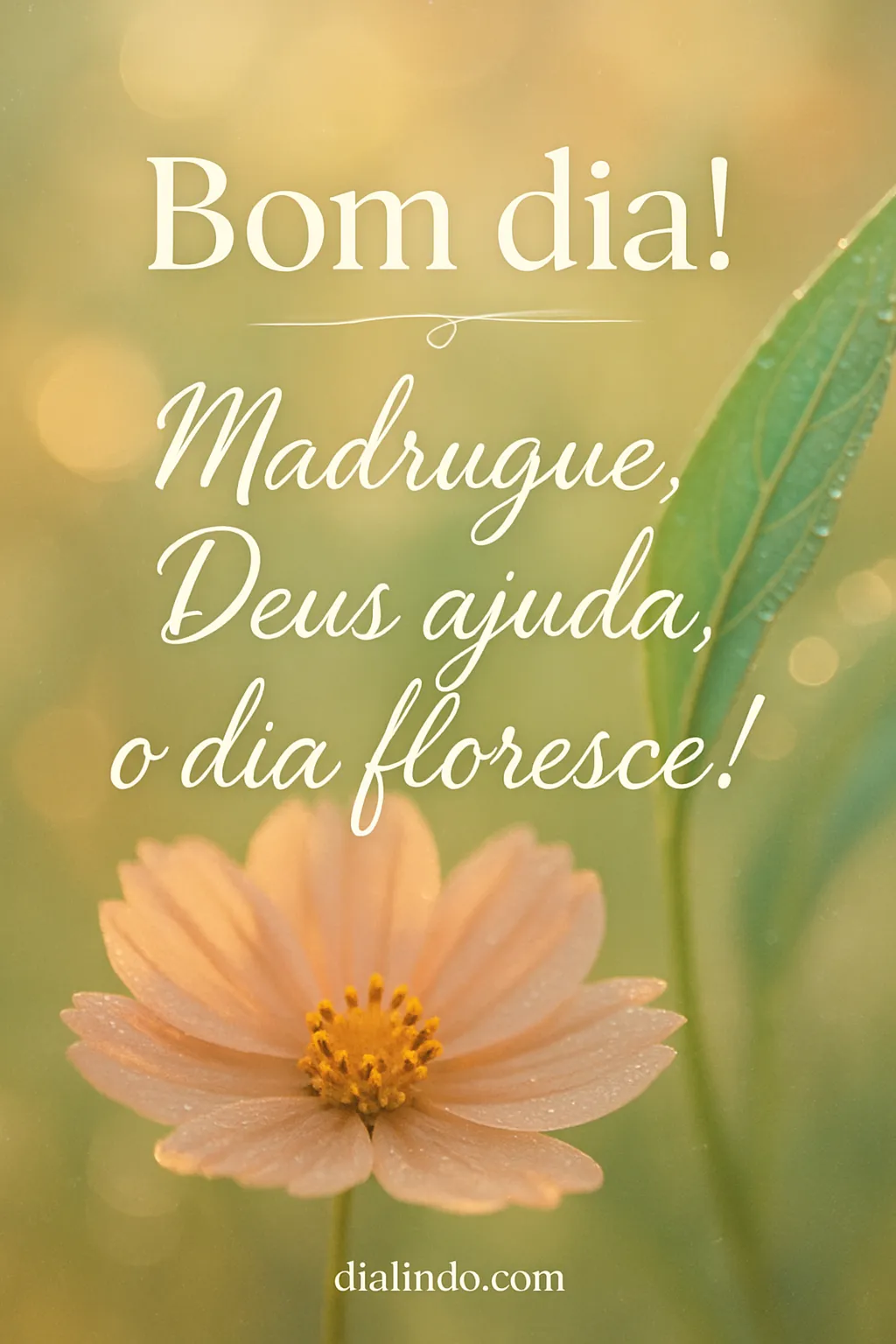 Madruga, Floresce, Deus Ajuda