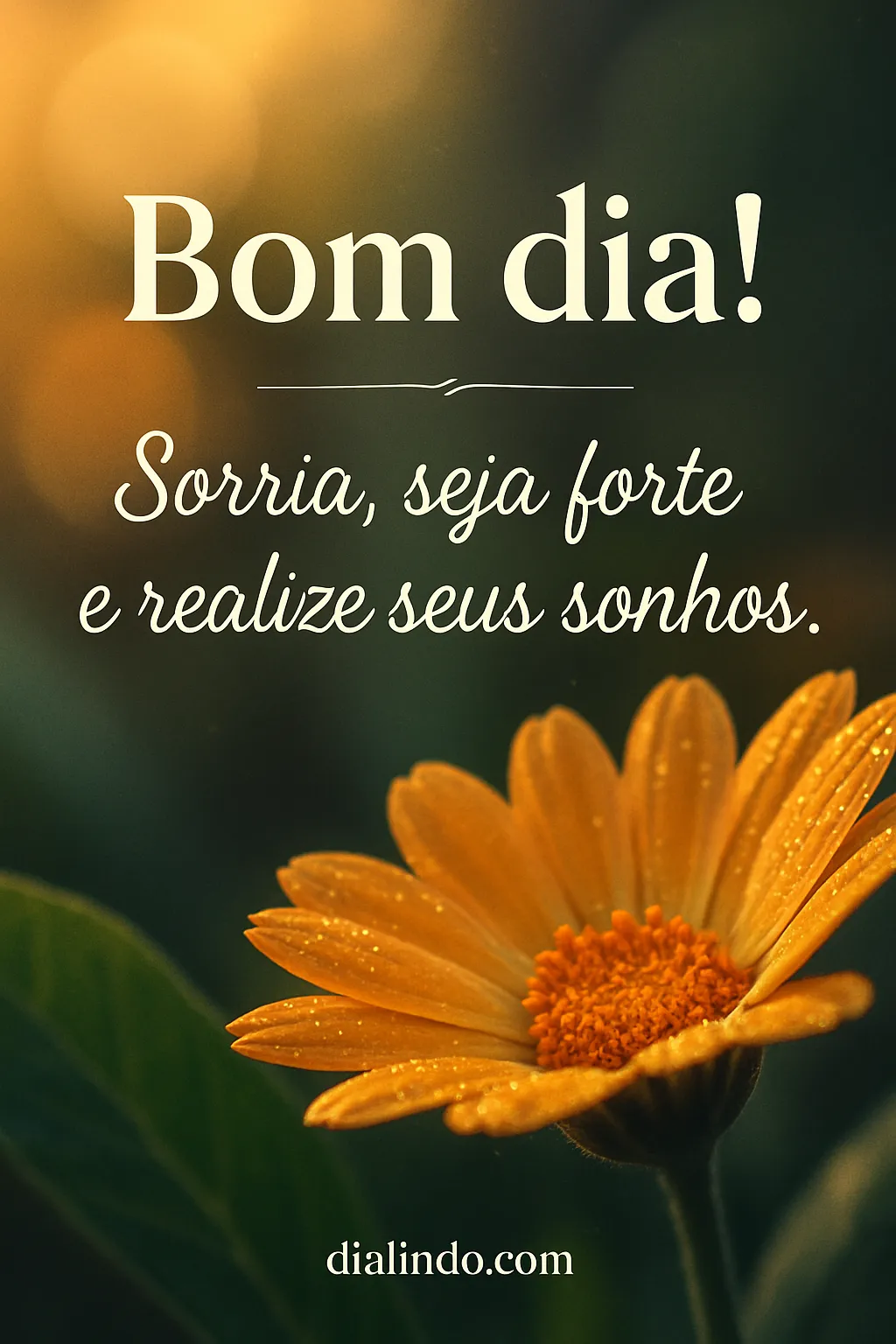 Sorria, Sonhe, Conquiste