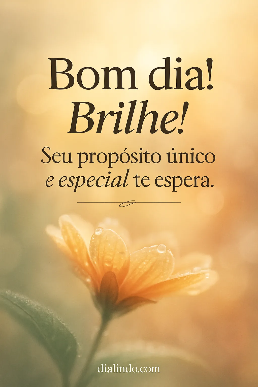 Desperte Seu Brilho Único