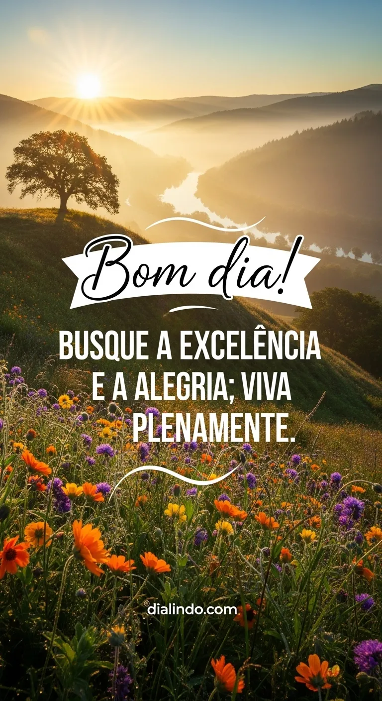 Excelência e Alegria Plenas