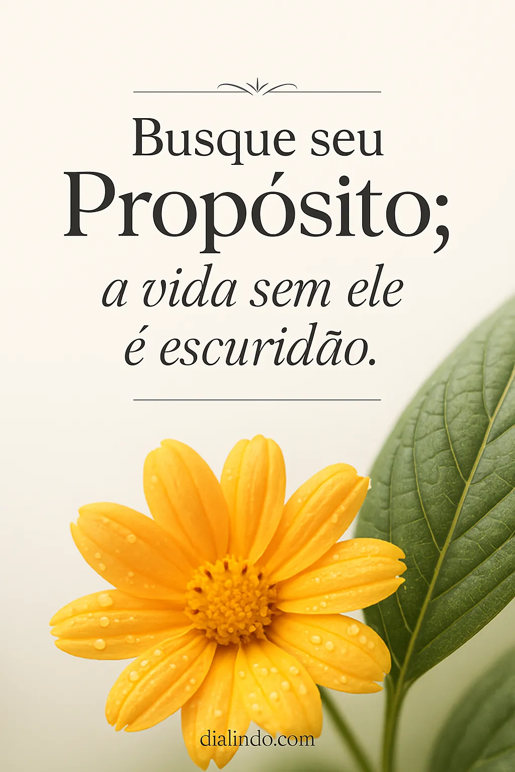 Iluminação: Encontre Seu Propósito