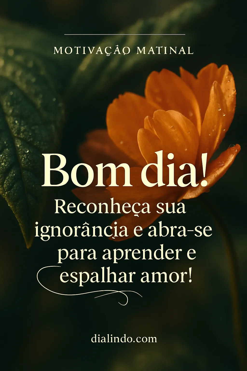 Desperte para Amar e Aprender