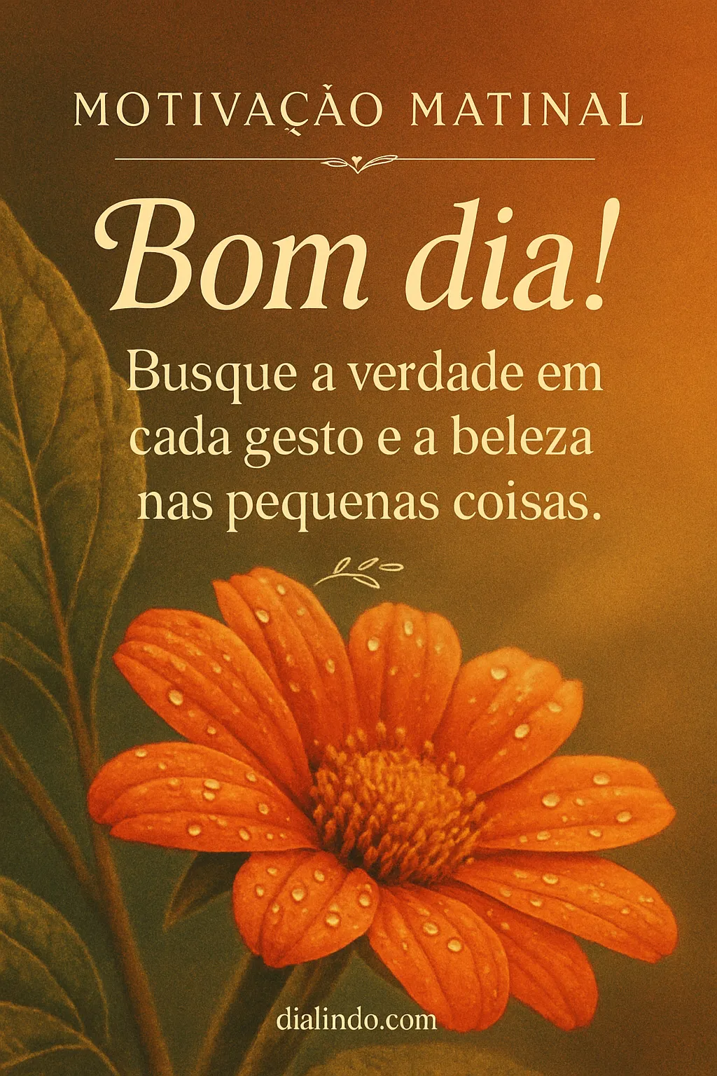 Verdades e Belezas do Cotidiano