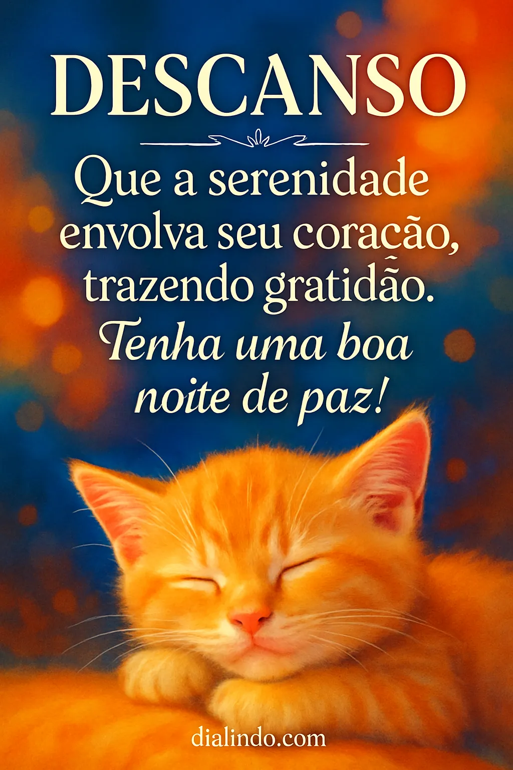 Noite de Serenidade e Gratidão