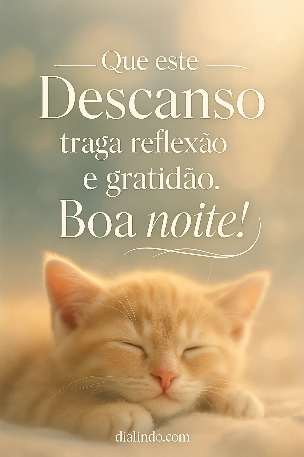 Reflexão Noturna e Gratidão