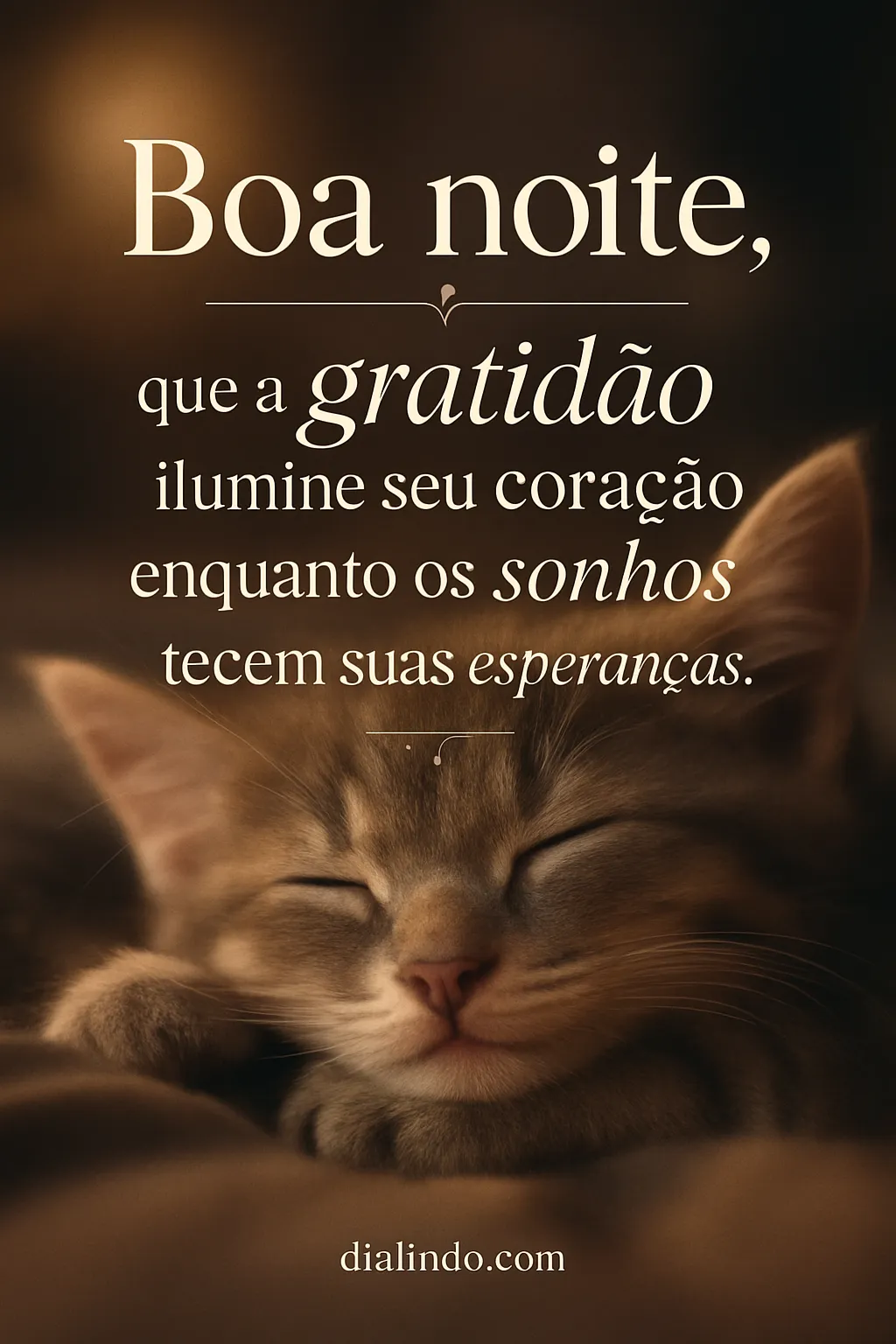 Gratidão e Sonhos entrelaçados