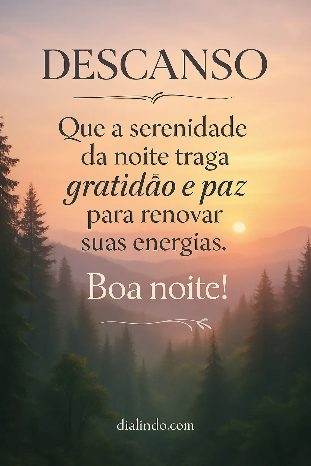 Noite de Gratidão e Renovação