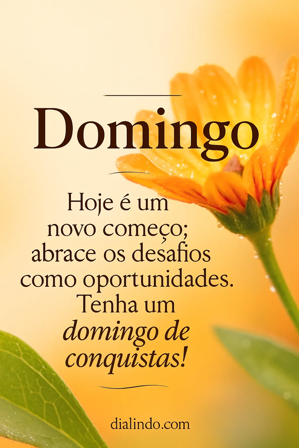 Desperte Seu Potencial Hoje!