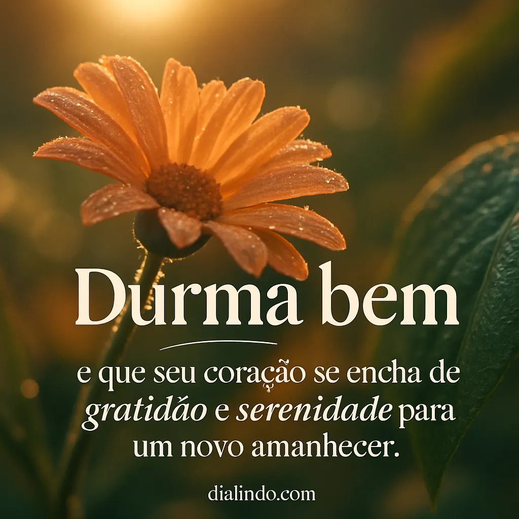 Amanhecer de Gratidão e Serenidade