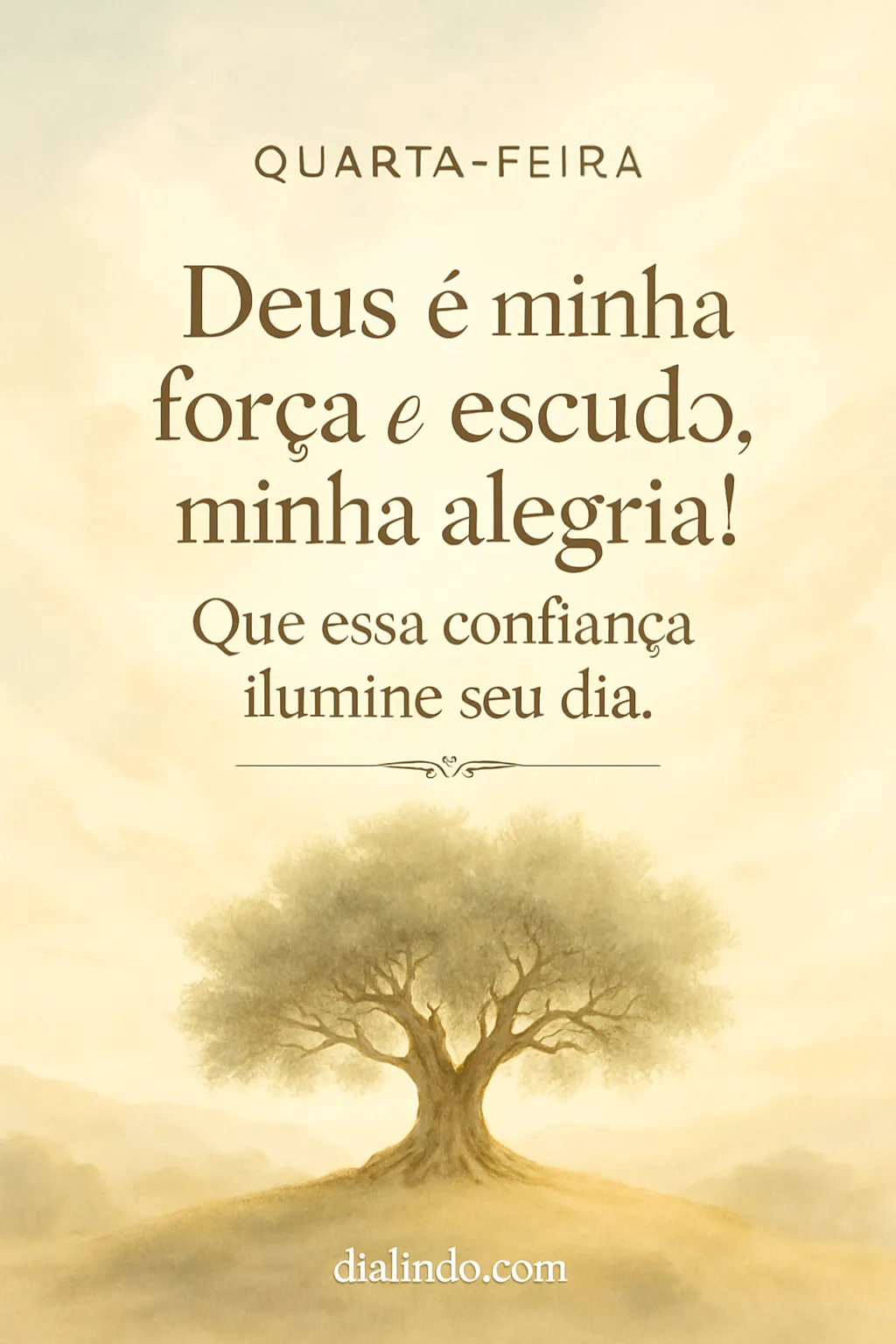 Deus: Escudo, Força, Alegria.