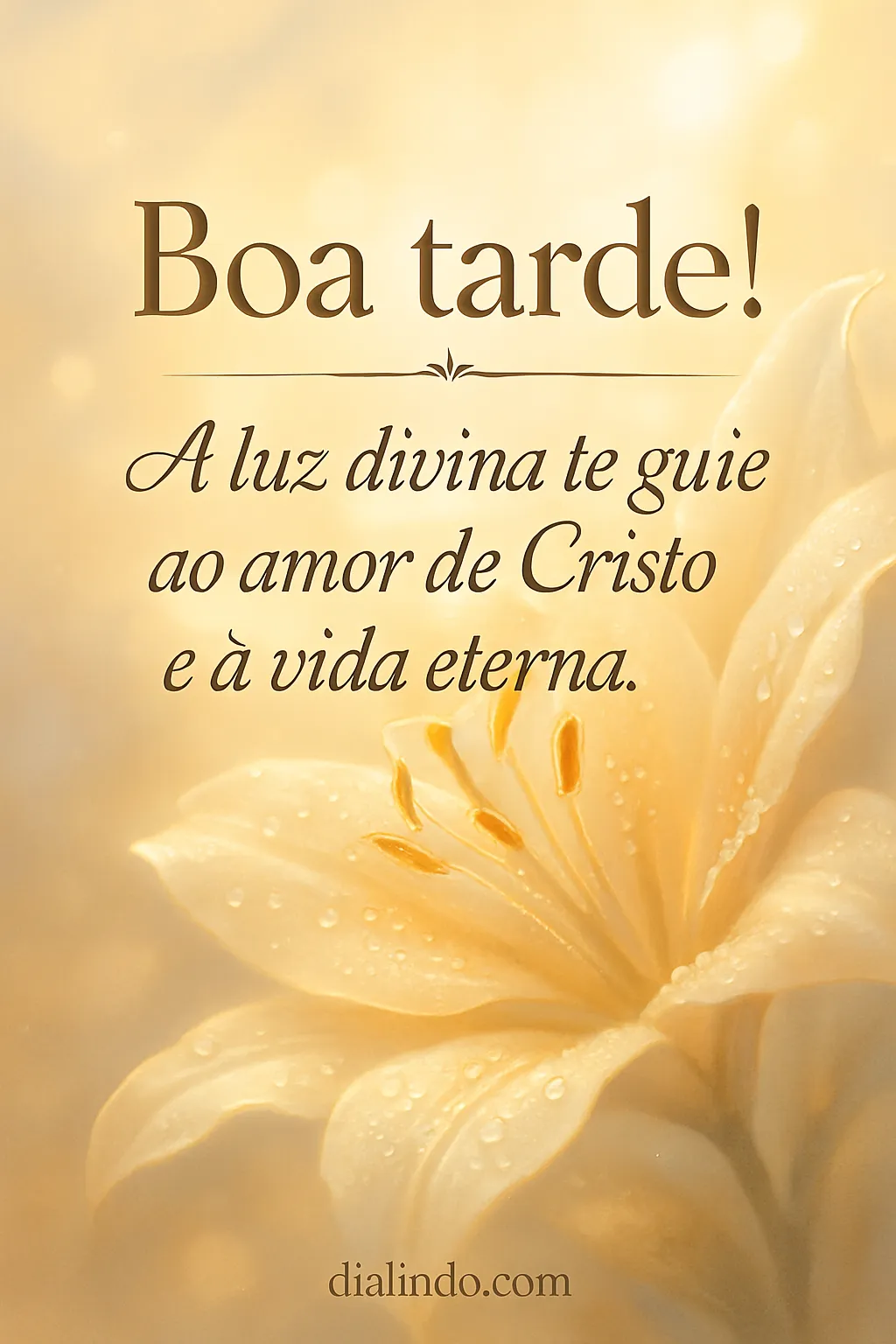 Luz Divina: Rumo ao Éden