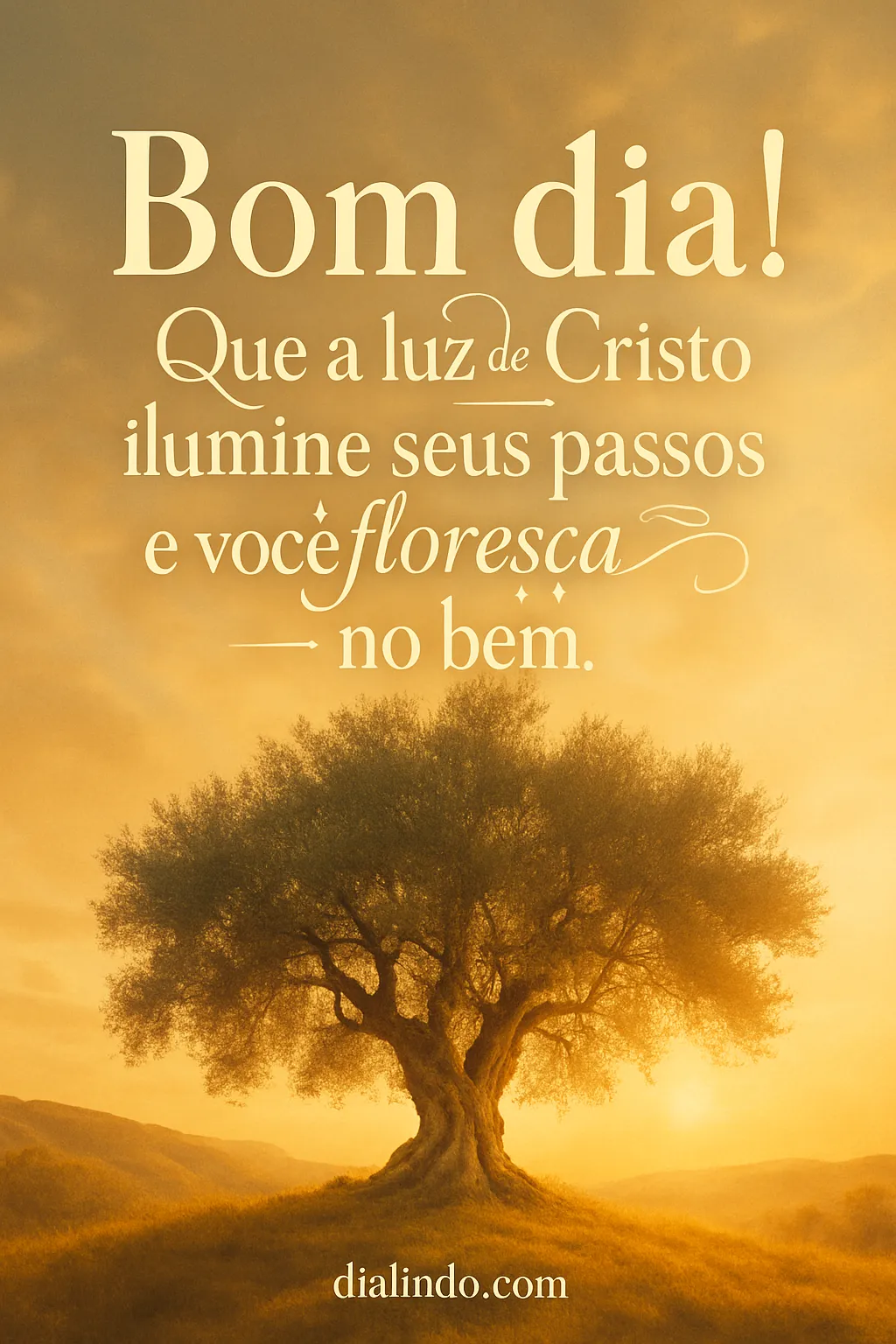 Florescer à Luz de Cristo