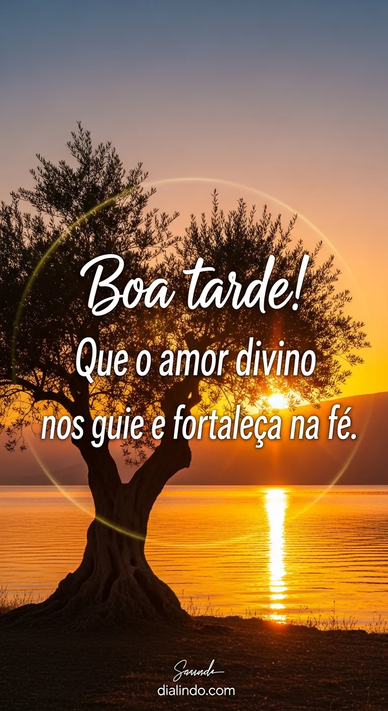 Amor Divino: Rota e Raiz