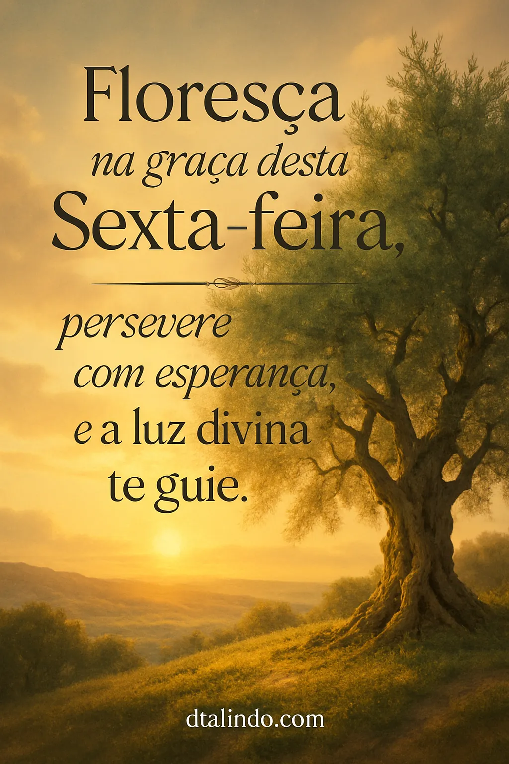 Sexta-Feira: Graça, Esperança, Luz