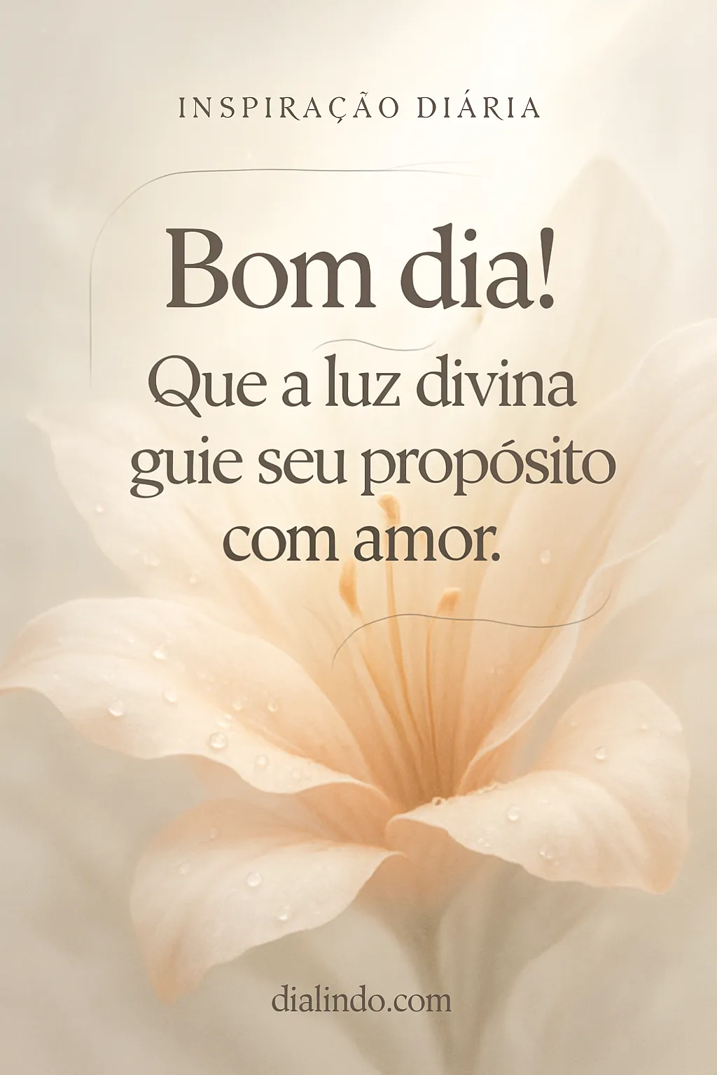 Propósito Iluminado, Amor Divino